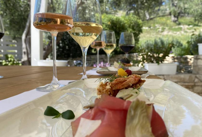 Percorso sensoriale con Degustazione Vini della regione Puglia